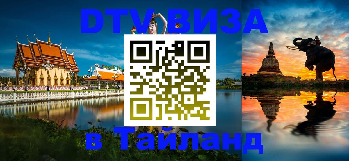 Оформление DTV визы под ключ: стоимость и тарифы, только загранпаспорт - Душанбе 